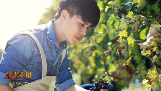 《歡樂頌2》植入上新，君頂反向“承包”電視劇